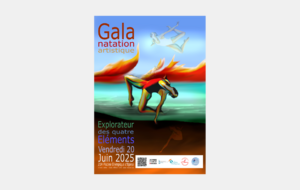 Gala de Natation Artistique