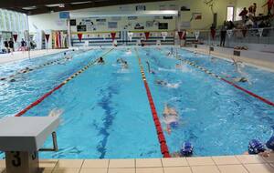 Vosges Hiver 2025 - Neufchateau