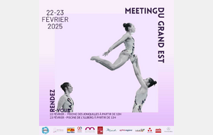 Meeting Natation Artistique Mulhouse