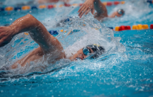 Championnat des Vosges Hiver