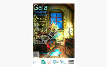 Gala de Natation Artistique