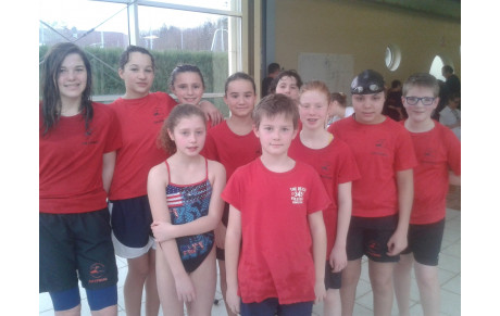 2ème NATATHLON à Thaon, Dimanche 1er Mars 2015