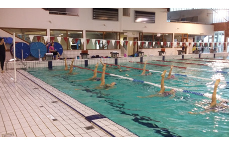 Stage Toussaint 2015: Synchro Camp
