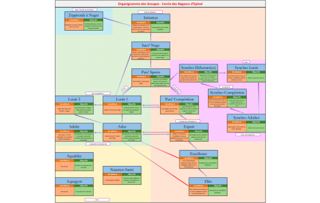 Organigramme des Groupes